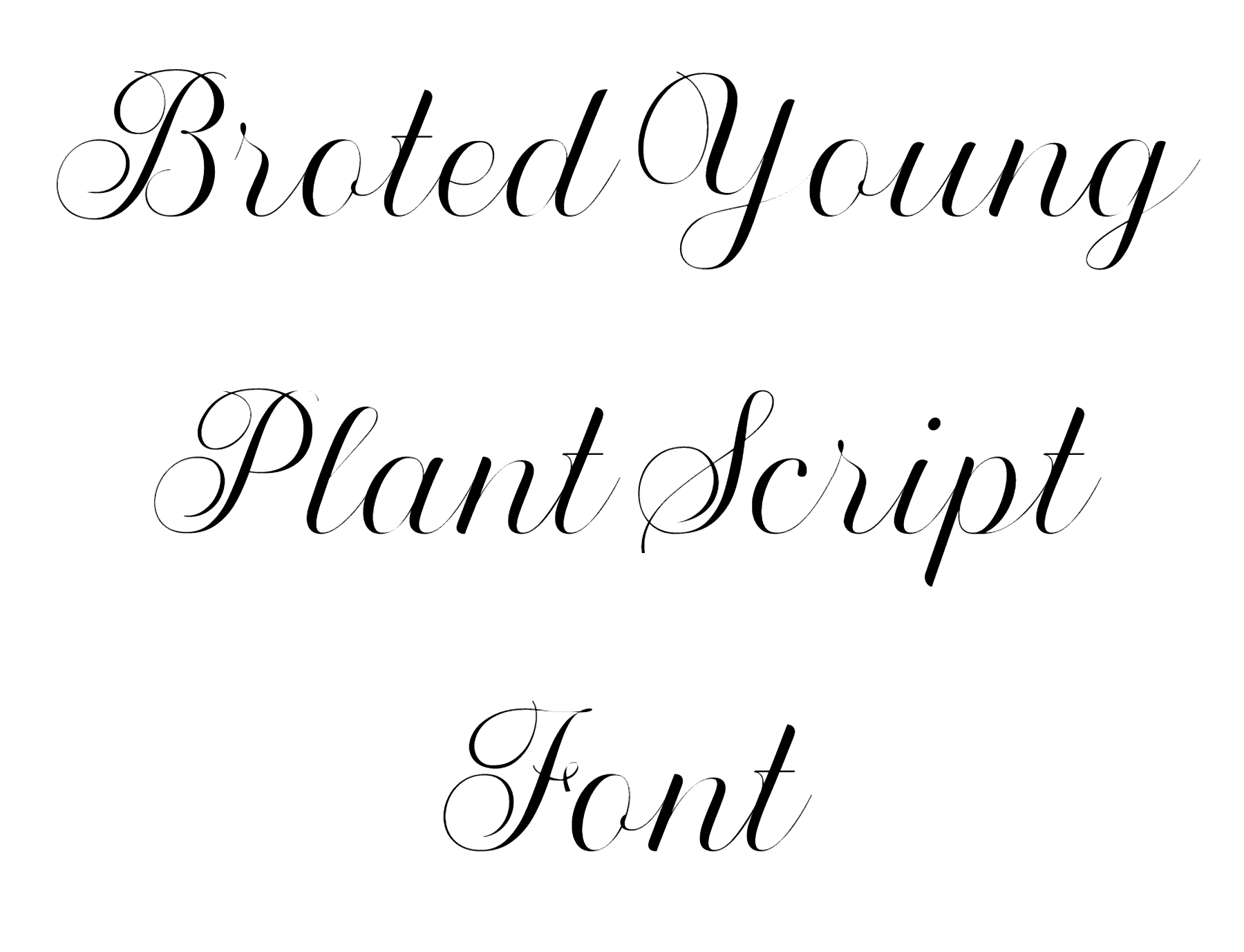 Broted Young Plant Script Font